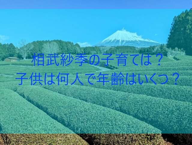 相武紗季の子育ては？子供は何人で年齢はいくつ？　画像