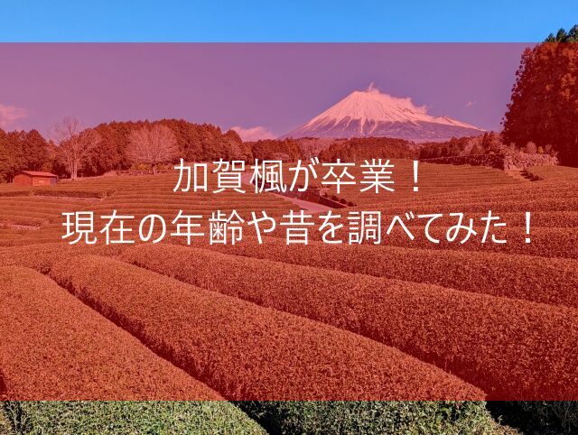 加賀楓が卒業！現在の年齢や昔を調べてみた！　画像