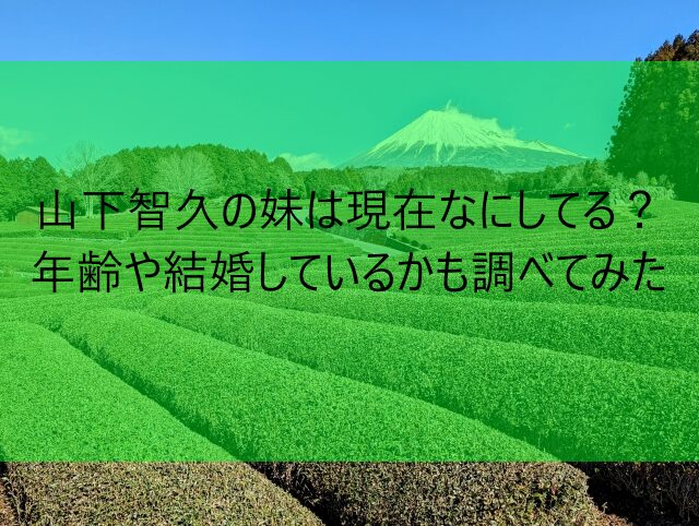 山下智久の妹は現在なにしてる？年齢や結婚しているかも調べてみた　画像