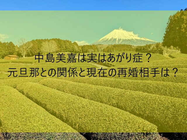 中島美嘉は実はあがり症？元旦那との関係と現在の再婚相手は？　画像