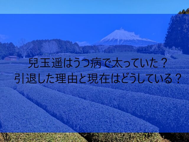 兒玉遥はうつ病で太っていた？引退した理由と現在はどうしている？　画像