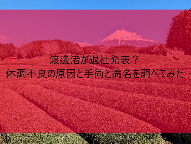 渡邊渚が退社発表？体調不良の原因と手術と病名を調べてみた　画像