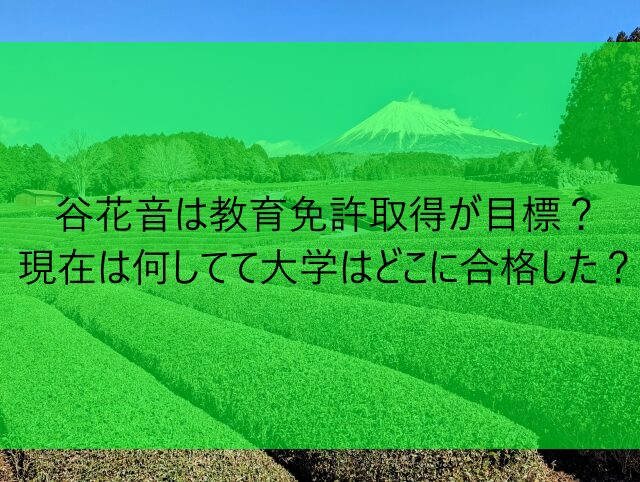 谷花音は教育免許取得が目標？現在は何してて大学はどこに合格した？　画像