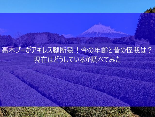 高木ブーがアキレス腱断裂！今の年齢と昔の怪我は？現在はどうしているか調べてみた　画像